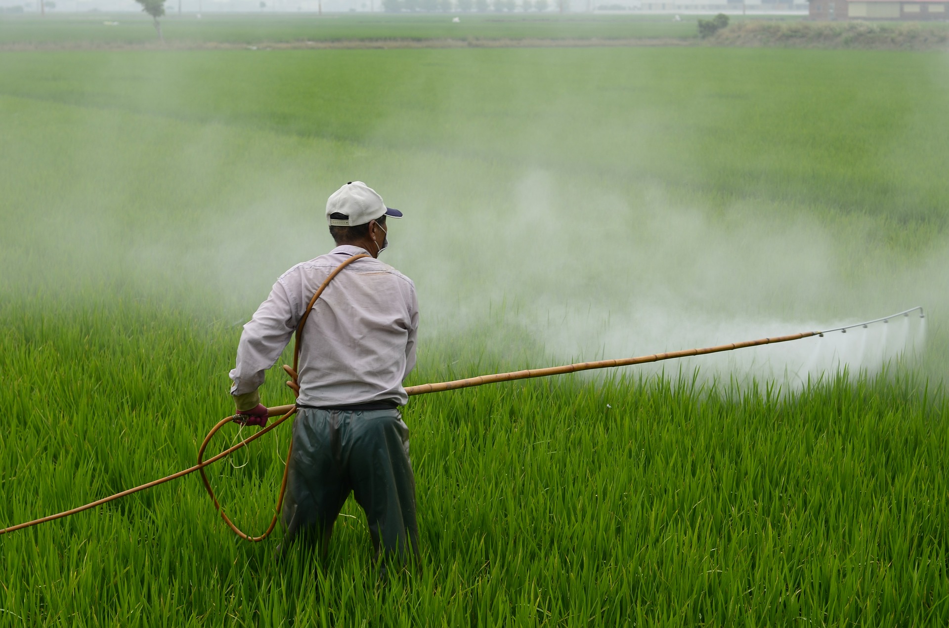 Monsanto